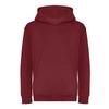 Awdis Childrens/Kids Organic Hoodie