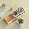 Multifunctional Succulent Flowerpot Tray Multi-grids Desktop Sundries Organizer Storage Box