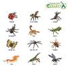 Collector Mini Insect Set of 12, Popular Toys In Korea