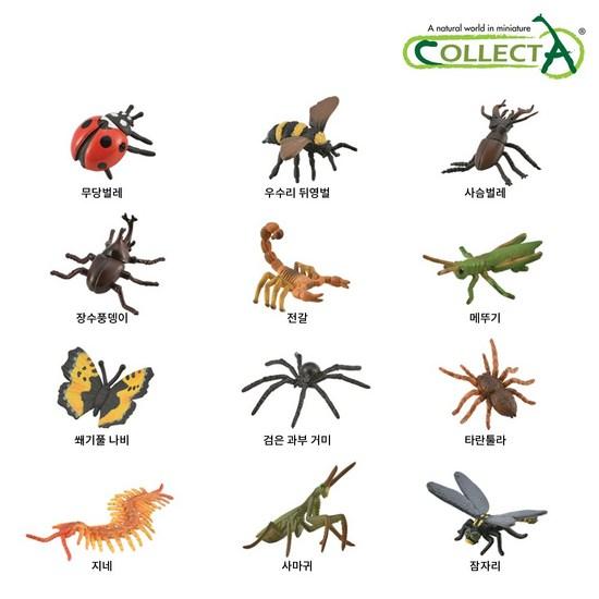 Collector Mini Insect Set of 12, Popular Toys In Korea
