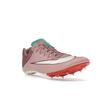 Nike Rival Sprint The Armory Pack мужские кроссовки розовые красные-Stardust Stadium-зеленые HQ2061-600