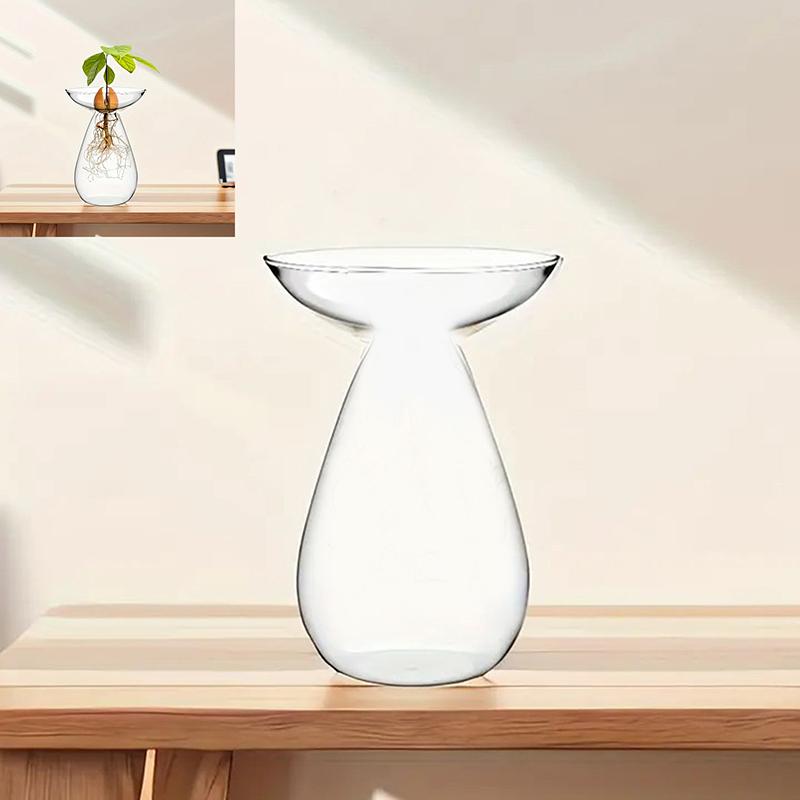 Красочная прозрачная гидропонная ваза для авокадо, стеклянная ваза для проращивания семян авокадо, набор для выращивания семян растений, для любителей садоводства, домашний декор