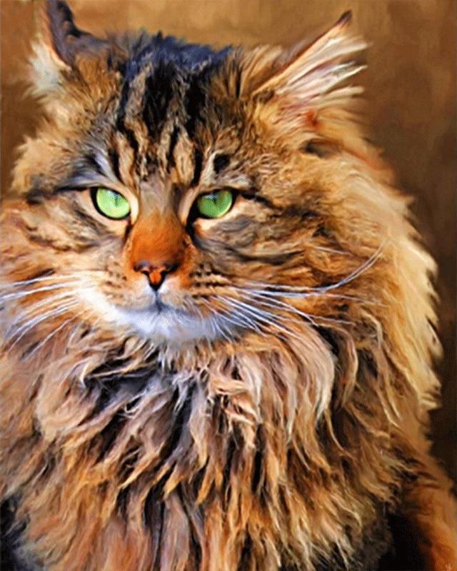 Полный квадратный круглый 5D DIY Алмазная вышивка Цветок Религиозная фигура Алмазная картина Собака Животное Алмазная мозаика Изображение Rhinestone Wall Art