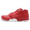 Air Trainer 1 Fragment Gym Red 806942-661