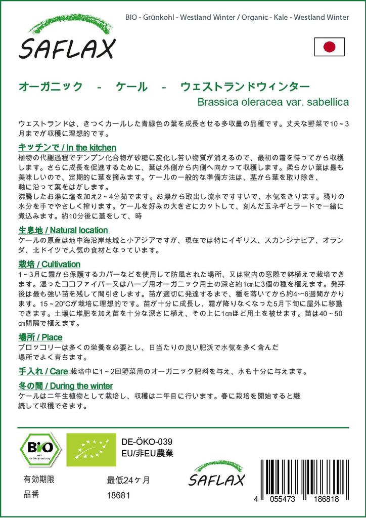 SAFLAX Organic - Капуста - Westland Winter - 70 семян - Brassica oleracea