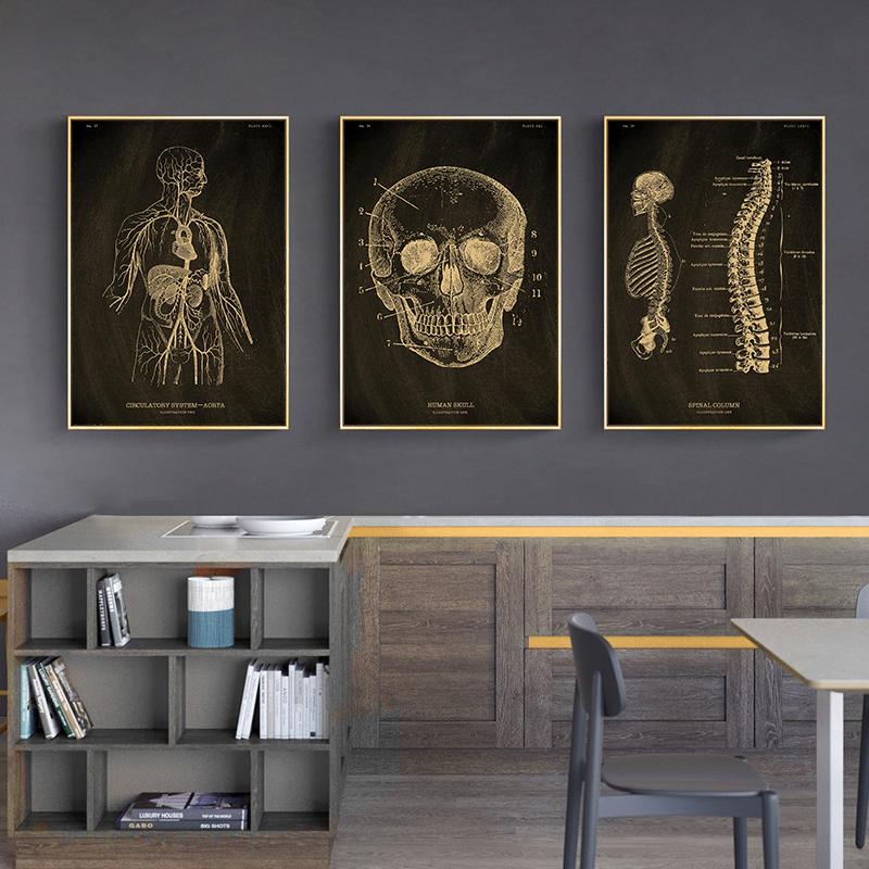 Анатомия человека, винтажный постер, скандинавский холст, художественный принт, золотой скелет, органы, живопись, настенные панно, медицинский домашний декор