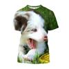 Russia Siberian Husky Printed T-shirts Cute Dog Casual Graphic T Shirt For Men Harajuku Fashion Clothing T-shirt