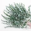 20 шт. Искусственное Зеленое Растение Пластиковые Листья Эвкалипта Свадебный Декор Искусственный Цветок Денежное Листовое Ветвь Домашний Декор Гостиной