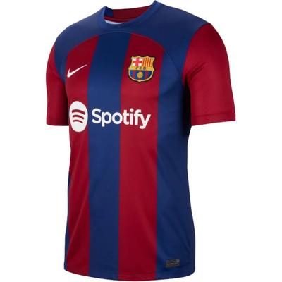 Nike Джерси домашнего стадиона ФК Барселона 23/24 с принтом логотипа и полосатым узором, мужской Джерси, синий DX2687-456