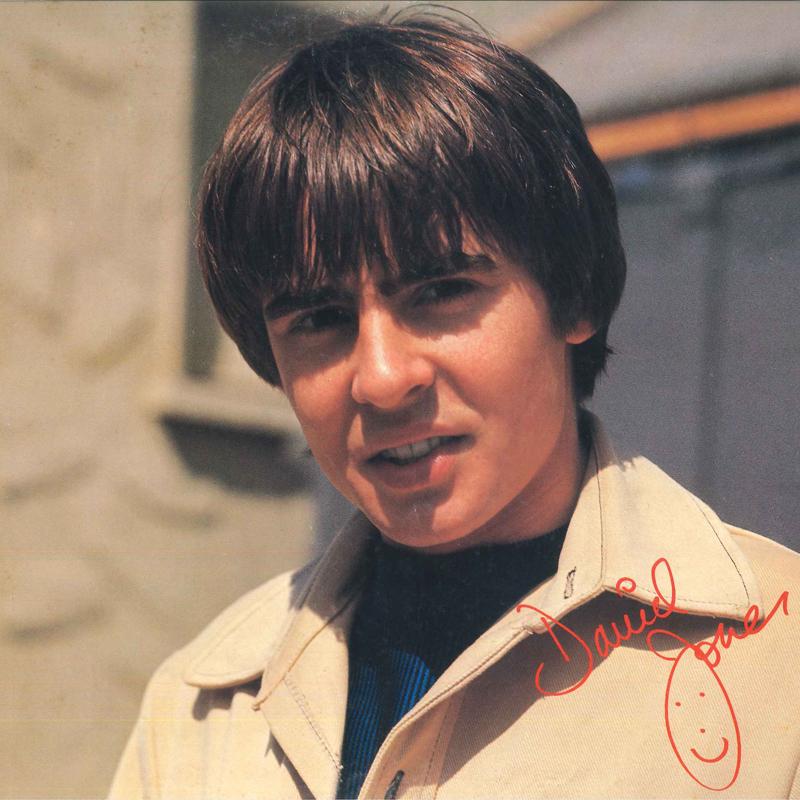 Виниловая пластинка DAVY JONES THE MONKEES Davy Jones 20RS20 ARISTA 1971 Япония Obi Поп Б/у