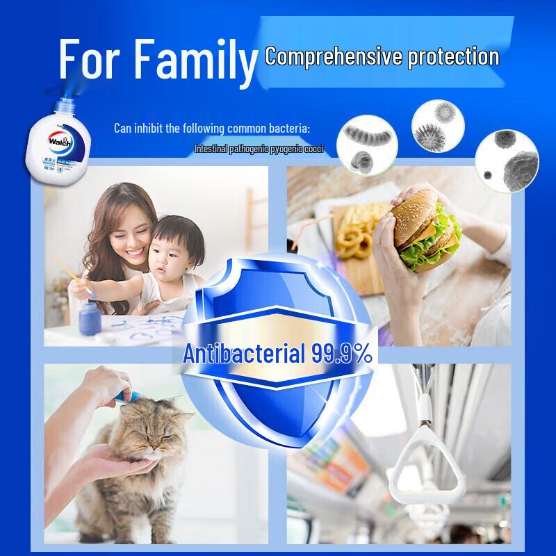 Walch Silk Protein Antibacterial Hand Wash