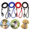 No Collar Needed Adjustable Elastic Strong Dog Rope Pet Training Leash Dog Chain Pet Traction Rope