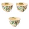 Набор из 3 чаш для матча Ninsei Green Bamboo x Чаши для матча Setomonohonpo [12 7,5 см]