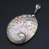 Natural Shell Pendant Vintage Style Fashion Jewelry Oval Shape Alloy Choker Necklaces Gift Ideas Jewelry High Quality Gift for Women