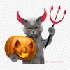 Gatito Halloween Stock Photography Cat Iron On Heat Transfer Printing Vinyl Patches Sticker for Clothes DIY Appliques Washable Patches