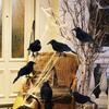 1pc/3pcs/4pcs Realistic Crow Outdoor Table Decoration,Black Artificial Feathered Raven,Indoor Halloween Decorative Crow Ornament