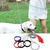 Bite Resistant Pet Dog Leash Anti-wear Dog Traction Rope Dog Harnesses Iron Dog Chain Outdoor