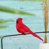 Garden Ornament Wedding Supply Bird Model Simulation Parrot Artificial Animal  Real Feathers