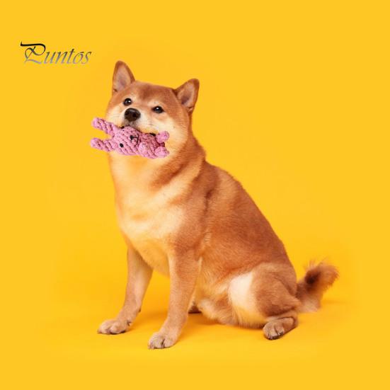 Interactive Cotton Rope Dog Toy Cute Rabbit Bear Giraffe Octopus Shape Dog Chew Toy Bite-resistant Pet Squeaky