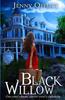 The Black Willow : One Sister's Dream, Another Sister's Nightmare... Book