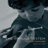 Immune System Paperback