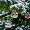 Christmas Decoration Small Model Playful Animal Decoration Ball Transparent Hanging Christmas Ball Xmas Tree Pendant