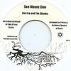 7inch Record RAS ICO, SHADES / SHADES - See Mount Zion / Zion High Dub DSR009010 Darker Shade Of 2012 Europe Reggae, Ska & Dub