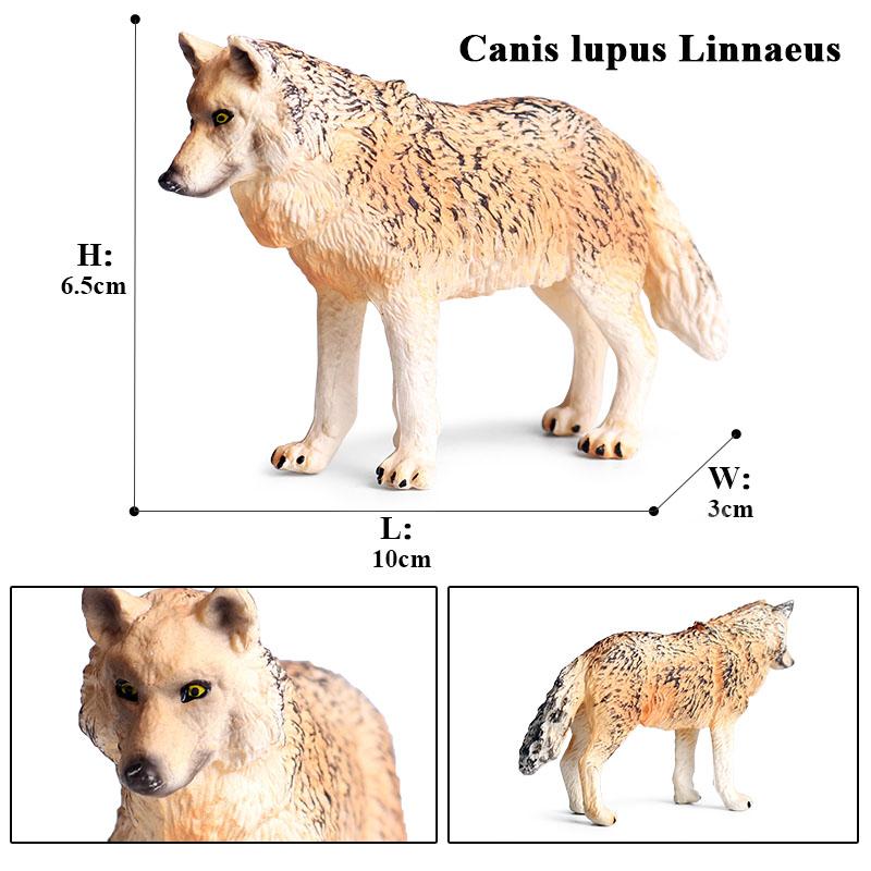 Oenux Дикие животные Маленький серый волк Гривистый волк Детеныши волков Модель для симуляции Коллекция фигурок из ПВХ Подарок Детская игрушка Подарок