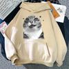 Толстовка с мемом про кота Y2K Kawaii для женщин/мужчин Осень Зима Одежда Для Подарков На День Эстетичная Толстовка Винтаж