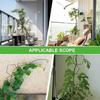 Easy Install Metal Plant Cage Fit for Home Gardening Creepers Climbing Garden Support Enhances Garden Plant Health