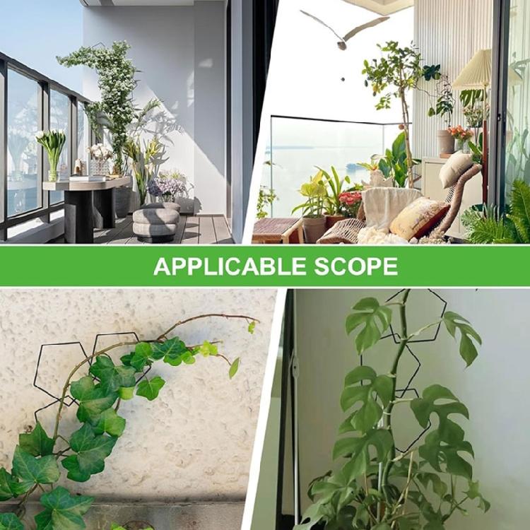 Easy Install Metal Plant Cage Fit for Home Gardening Creepers Climbing Garden Support Enhances Garden Plant Health