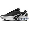 Женские кроссовки Air Max Dn Черный Cool Grey Pure Platinum Белый FJ3145-002