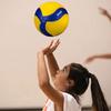 Professional Game Indoor Volleyball Versatile Performance Size 5 Training Volleyball High
