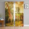 Africa Giraffe Grassland Sunset Tulle Sheer Window Curtains for Living Room Kitchen Children Bedroom Voile Hanging Curtain