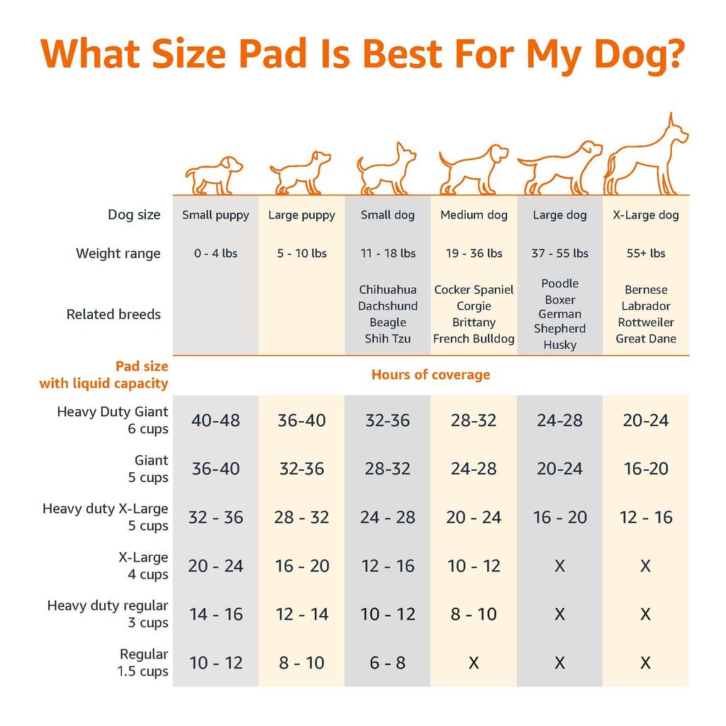 Amazon Basics Pet Training Pads for Standard 56 x 56 Dogs, Size, 100-Pack, cm, Blue/White
