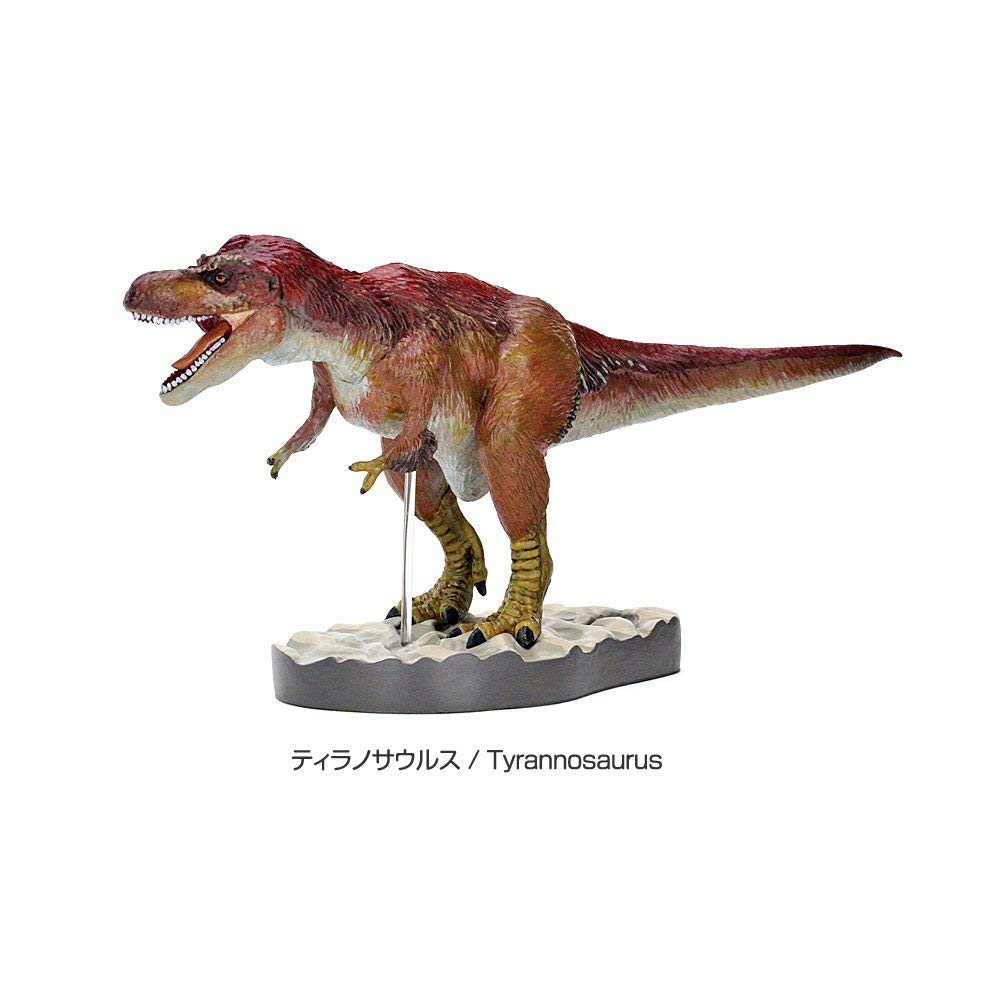 Calorata Пернатый Динозавр 3D Энциклопедия Включает Руководство и Реалистичную Фигурку Образовательная Закон о Санитарии Пищевых Продуктов Подарочные Фигурки, (7 Динозавров, Стоять),