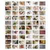 60PCS Scrapbooking Stickers DIY Vintage Flowers Sticker Book Retro Paper Stickers for Scrapbooking