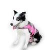 Adjustable Flotation Dog Life Jacket For Small Dogs With Rubber Handle