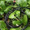 Watering Tubing Pipe 4/7mm Drip Irrigation System for Home Garden Plants Flowers Water Supply