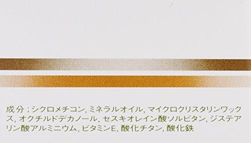 SHISEIDO Spot Cover Cream Foundation (Base Color) H100 20g