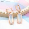 Classic Elegant Oval Egg Shape Cubic Zirconia Drop Earrings For Women Girl Wedding Party Fashion Jewelry Rose Gold Color Eardrop