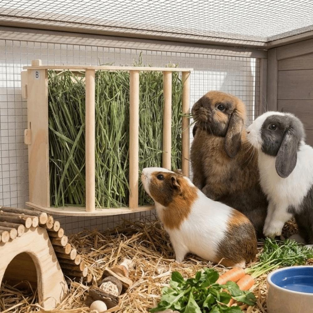 Practical Wooden Bunny Hay Feeder Hanging Fixed Grass Dispenser Rabbit Hay Holder Detachable Built-in Guinea Pig Feeder Hamster