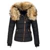 Ladies Fashion Hooded Zipper Cotton Jacket  Large  Collar Slim Jacket