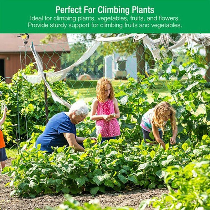 Пластиковая сетка для вьющихся растений с решетчатым дизайном, многоразовая, зеленая KTY