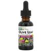 Herb Active, Olive Leaf, Alcohol Free, 125Mg, 30Ml (1Fl Oz)