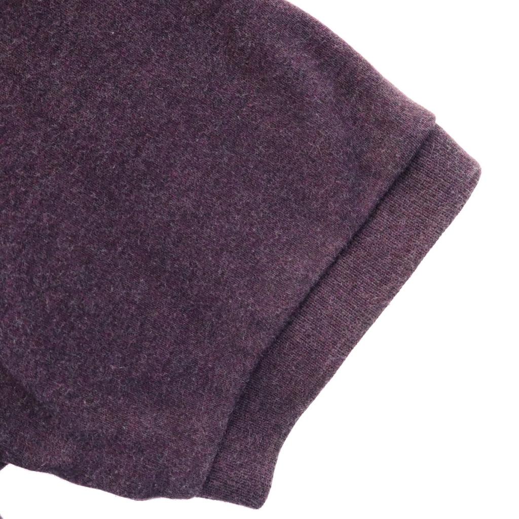 Polo by Ralph Lauren Short Sleeve Polo Shirt M Purple Men's Used