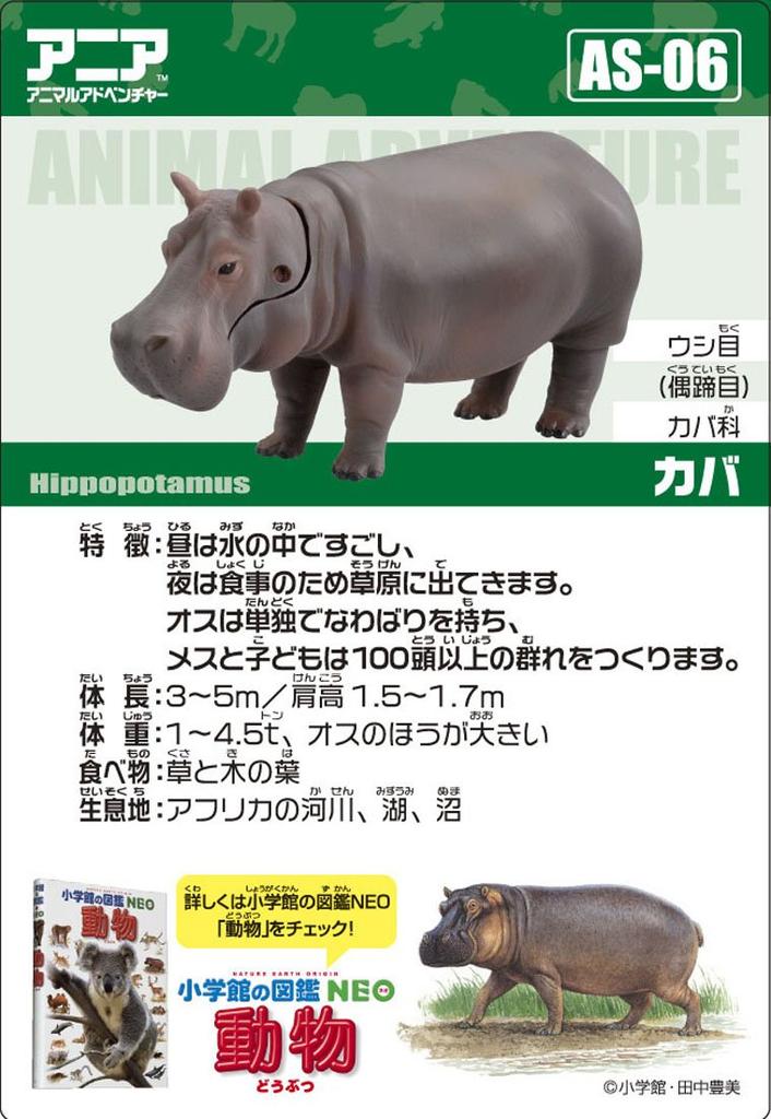 TAKARA TOMY Животное Динозавр Реалистичная Движущаяся Фигурка Игрушка для Возраста 3+ и Соответствует Безопасности Игрушек Сертифицировано Знаком ST "Ania AS-06 Бегемот" Вверх, Стандарты,