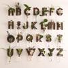 Home Ornaments Hydroponic Planter Shelf A-Z Alphabet Wall Decoration Planter Holder  Plant Lover