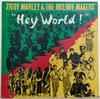 LP-пластинка ZIGGY MARLEY & THE MELODY MAKERS - Hey World ST17234 Rita Marley Mus 1986 Ямайка Регги, Ска и Даб Б/У