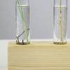 Decorative Hydroponic Tube Test Tube Vase Transparent Glass Universal Vases for Home